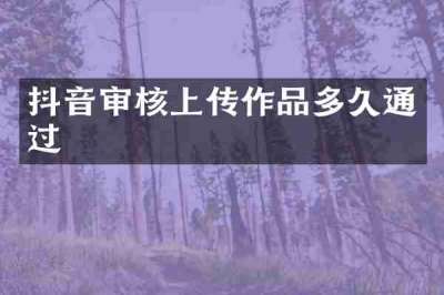 抖音审核上传作品多久通过