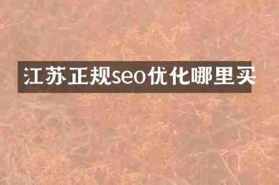 江苏正规seo优化哪里买