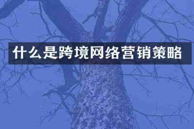 什么是跨境网络营销策略
