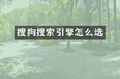 搜狗搜索引擎怎么选