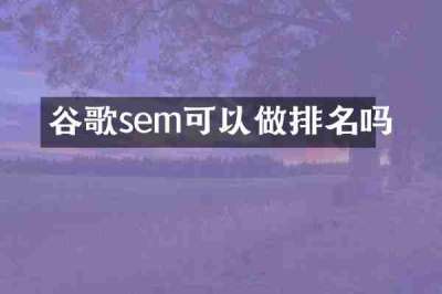 谷歌sem可以做排名吗