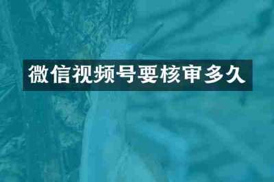微信视频号要核审多久