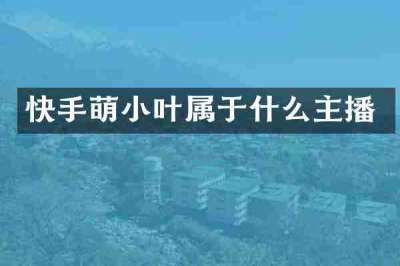 快手萌小叶属于什么主播