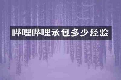 哔哩哔哩承包多少经验
