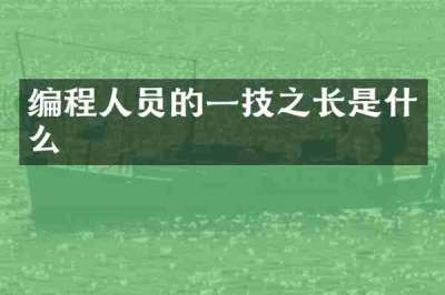 编程人员的一技之长是什么
