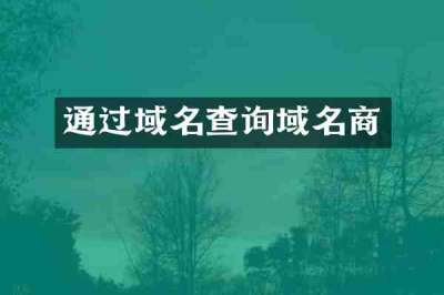通过域名查询域名商