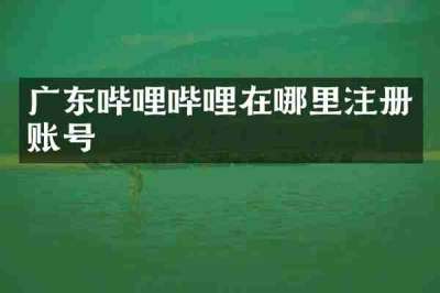 广东哔哩哔哩在哪里注册账号