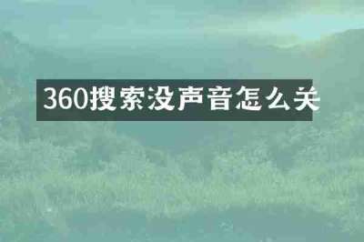 360搜索没声音怎么关