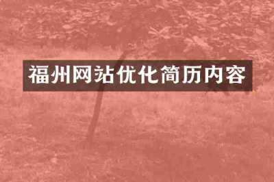 福州网站优化简历内容
