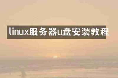 linux服务器u盘安装教程