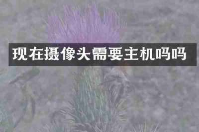 现在摄像头需要主机吗吗
