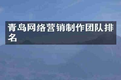 青岛网络营销制作团队排名