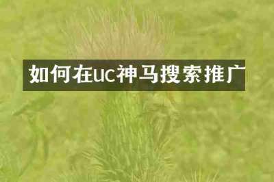 如何在uc神马搜索推广