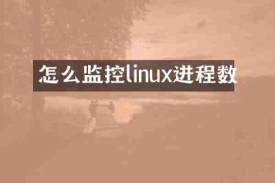 怎么监控linux进程数
