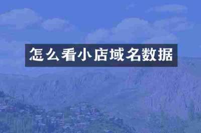 怎么看小店域名数据