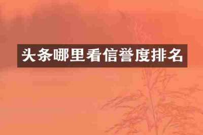 头条哪里看信誉度排名