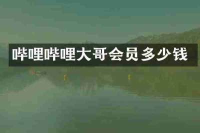 哔哩哔哩大哥会员多少钱