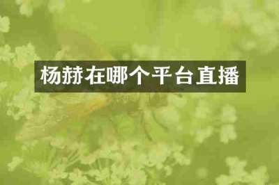 杨赫在哪个平台直播