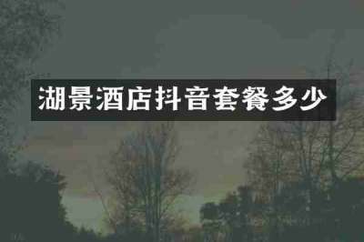 湖景酒店抖音套餐多少