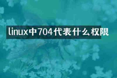 linux中704代表什么权限
