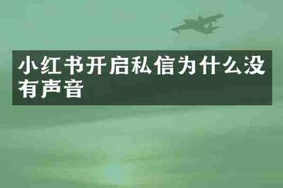 小红书开启私信为什么没有声音