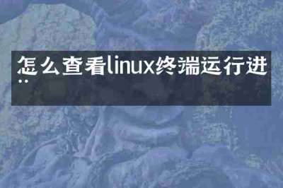 怎么查看linux终端运行进程