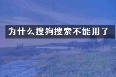 为什么搜狗搜索不能用了