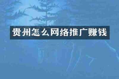 贵州怎么网络推广赚钱