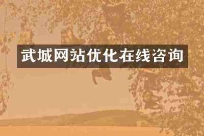 武城网站优化在线咨询
