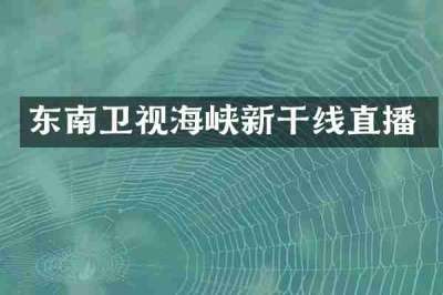 东南卫视海峡新干线直播