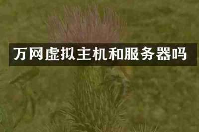 万网虚拟主机和服务器吗