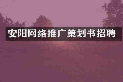安阳网络推广策划书招聘