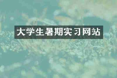 大学生暑期实习网站