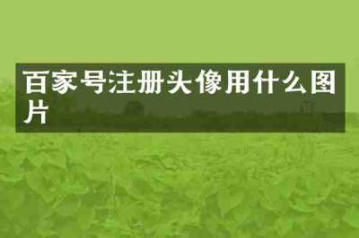 百家号注册头像用什么图片