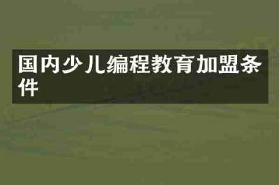 国内少儿编程教育加盟条件