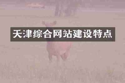 天津综合网站建设特点