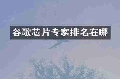 谷歌芯片专家排名在哪