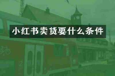 小红书卖货要什么条件
