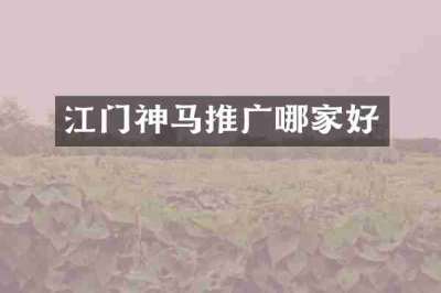 江门神马推广哪家好