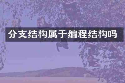 分支结构属于编程结构吗