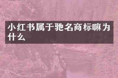 小红书属于驰名商标嘛为什么