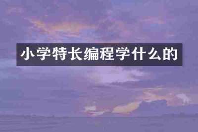 小学特长编程学什么的