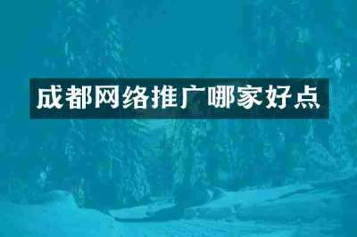 成都网络推广哪家好点