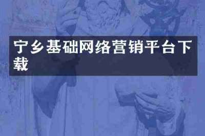 宁乡基础网络营销平台下载