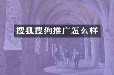 搜狐搜狗推广怎么样