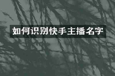 如何识别快手主播名字