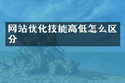 网站优化技能高低怎么区分