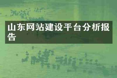 山东网站建设平台分析报告