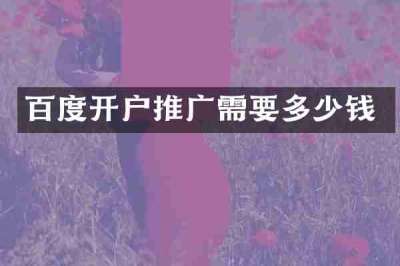 百度开户推广需要多少钱