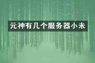 元神有几个服务器小米